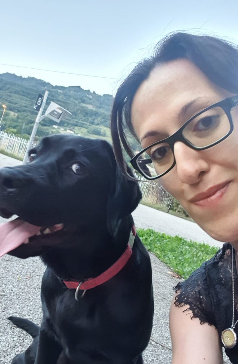 Labrador chien éducation canine